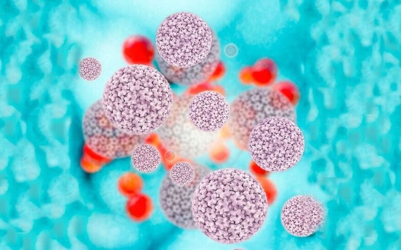 humant papillomvirus som orsakar papillom på blygdläpparna
