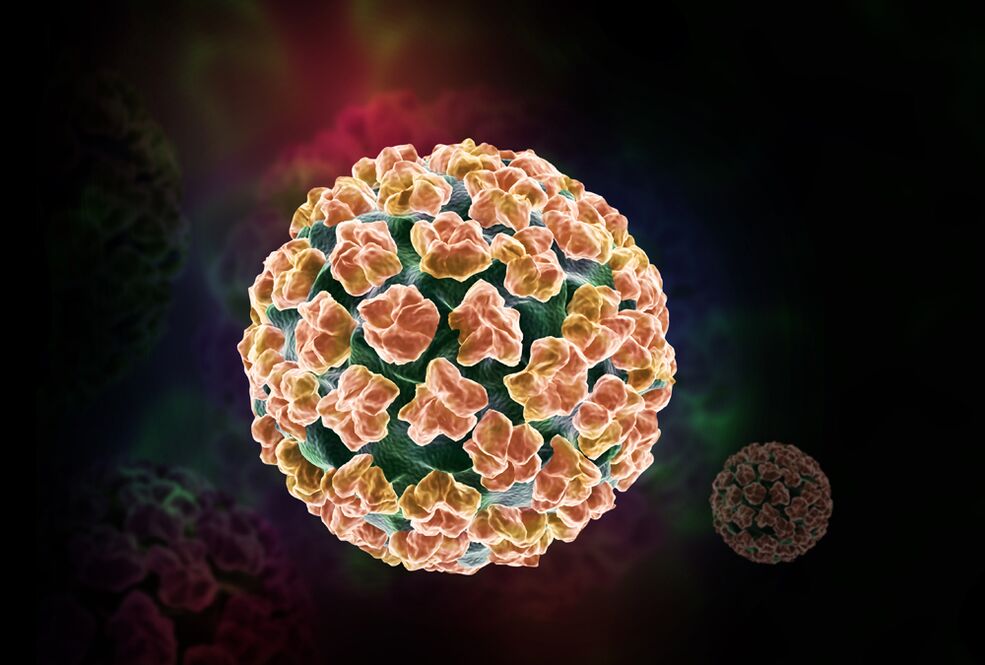 humant papillomvirus i kroppen